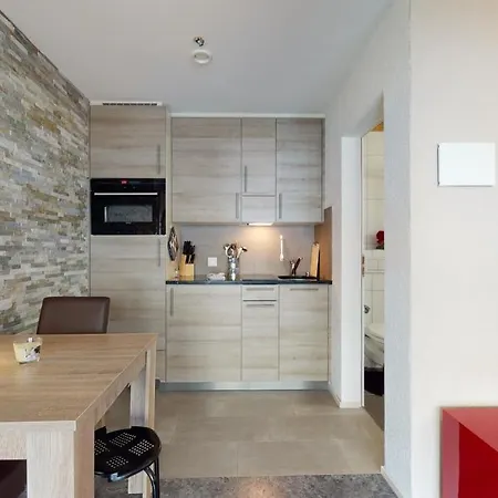 Modern And Spacious Studio In Taesch, Zermatt Apartment *
